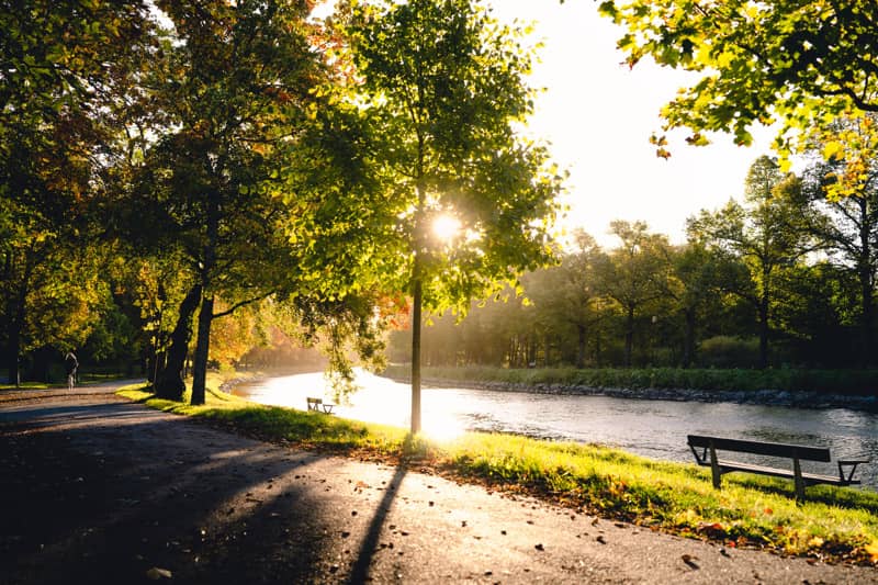 A tree-lined path runs beside a calm canal in warm evening light, with long shadows on the ground and empty benches along the water.