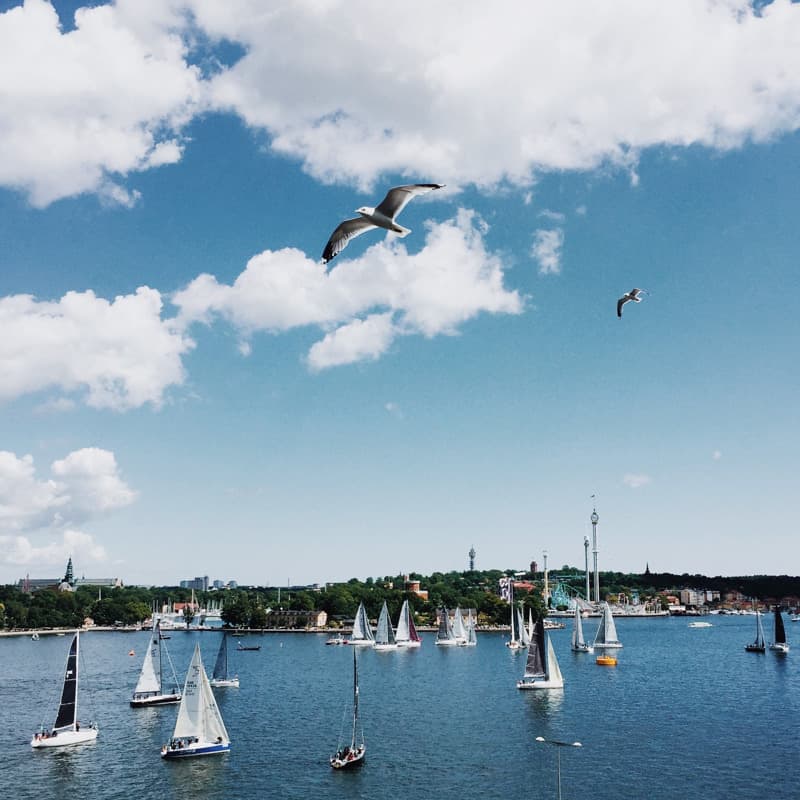 Boat race in Stockholm and the archipelago. ÅF offshore race.