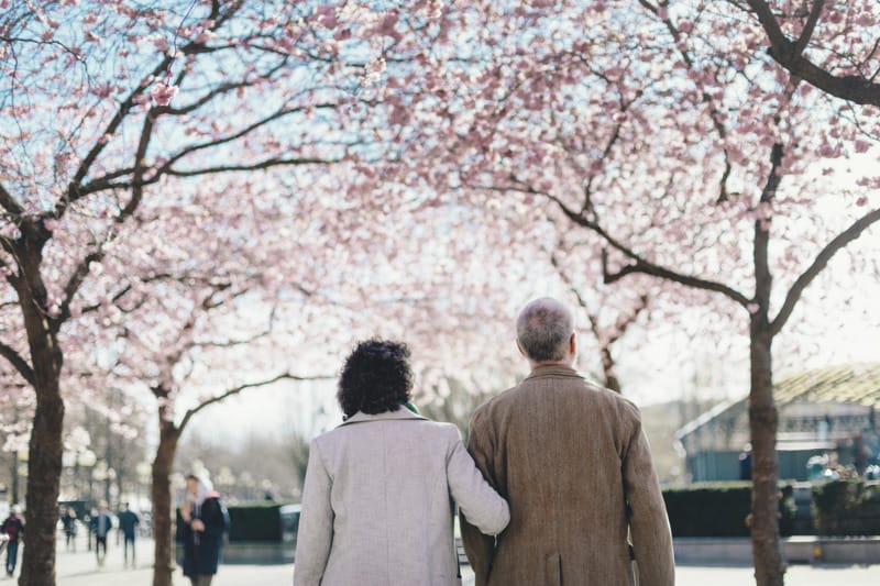 Two people walking arm in arm along a path lined with blooming cherry trees, seen from behind in a park setting.
