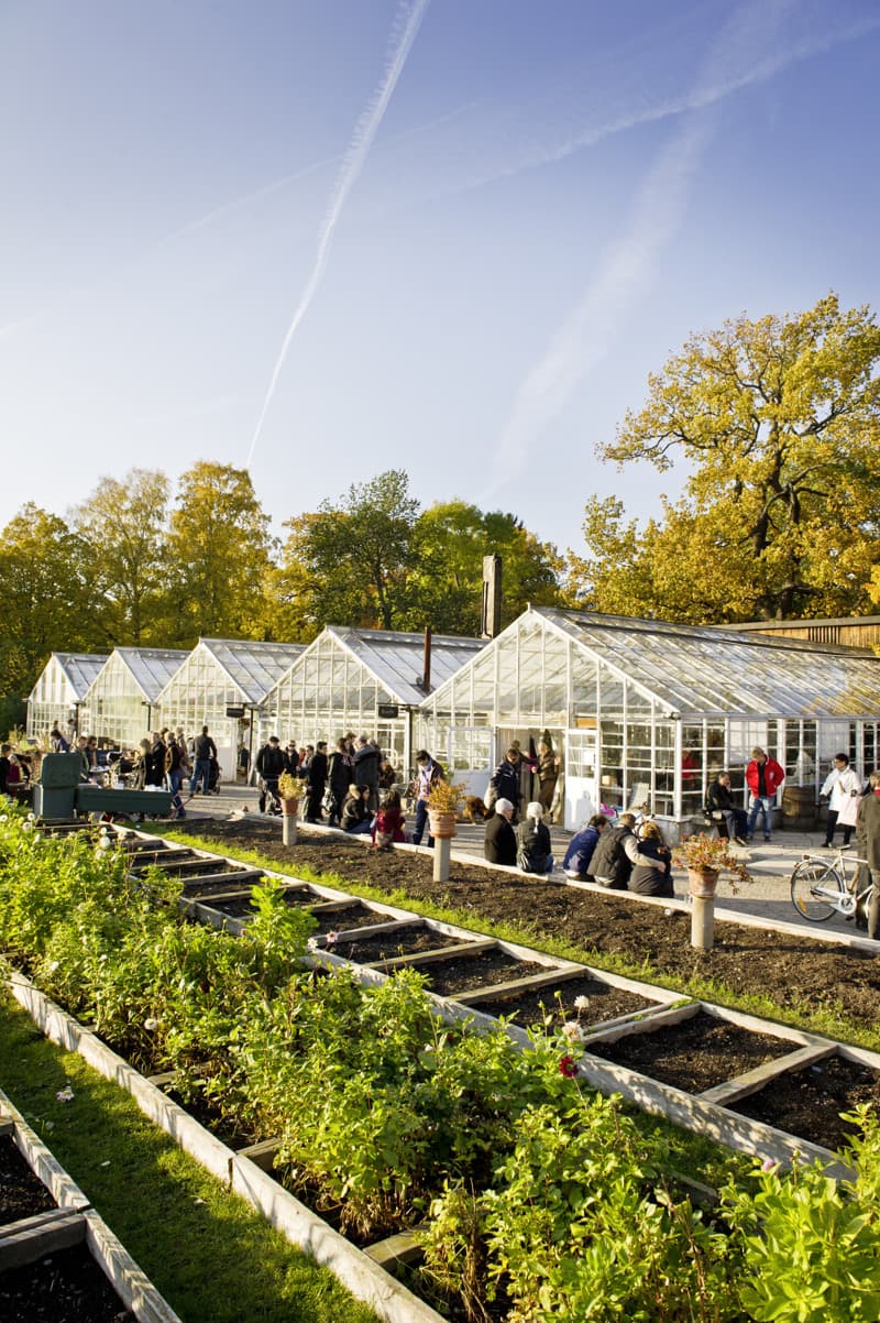 People gathered around greenhouses and garden beds in a park during autumn.